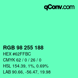 Color code: RGB 98 255 188 | qconv.com