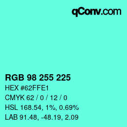 Color code: RGB 98 255 225 | qconv.com