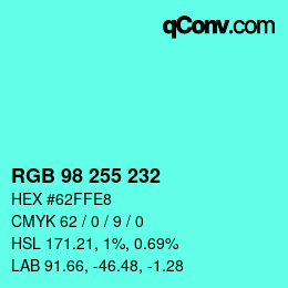 Color code: RGB 98 255 232 | qconv.com
