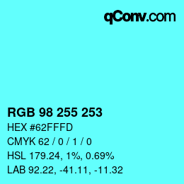 Color code: RGB 98 255 253 | qconv.com