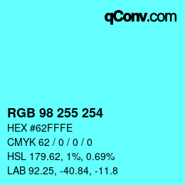 Color code: RGB 98 255 254 | qconv.com