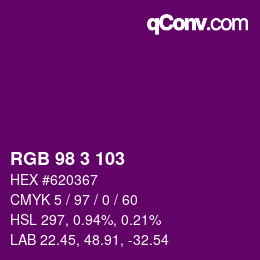 Color code: RGB 98 3 103 | qconv.com