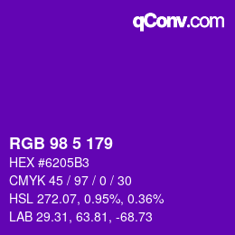 Color code: RGB 98 5 179 | qconv.com