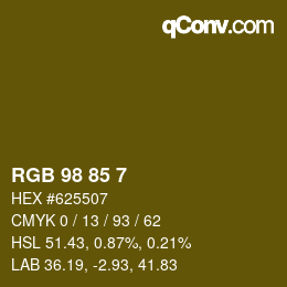 Color code: RGB 98 85 7 | qconv.com