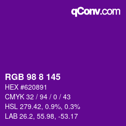 颜色代码: RGB 98 8 145 | qconv.com