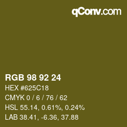 カラーコード: RGB 98 92 24 | qconv.com