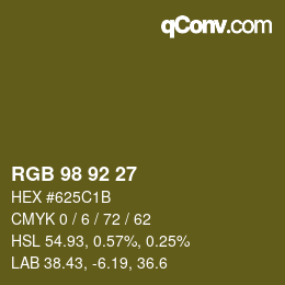 カラーコード: RGB 98 92 27 | qconv.com