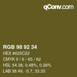 颜色代码: RGB 98 92 34 | qconv.com