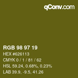 Color code: RGB 98 97 19 | qconv.com