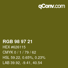 颜色代码: RGB 98 97 21 | qconv.com
