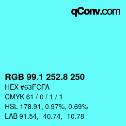 Color code: RGB 99.1 252.8 250 | qconv.com
