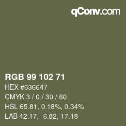 Color code: RGB 99 102 71 | qconv.com