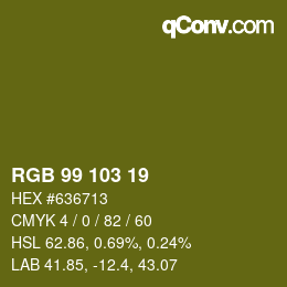 Color code: RGB 99 103 19 | qconv.com