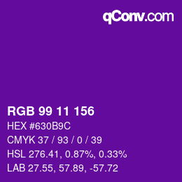 Color code: RGB 99 11 156 | qconv.com
