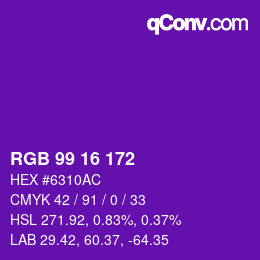 Color code: RGB 99 16 172 | qconv.com