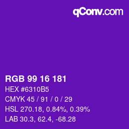 Color code: RGB 99 16 181 | qconv.com