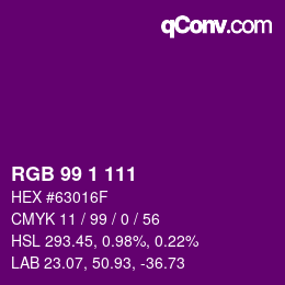 Color code: RGB 99 1 111 | qconv.com