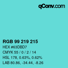 Color code: RGB 99 219 215 | qconv.com