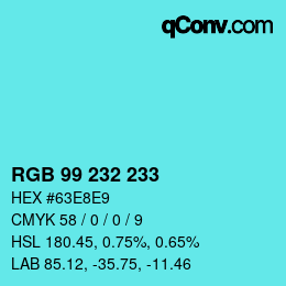 Color code: RGB 99 232 233 | qconv.com
