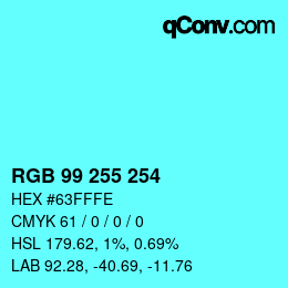 Color code: RGB 99 255 254 | qconv.com