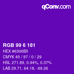 Color code: RGB 99 6 181 | qconv.com