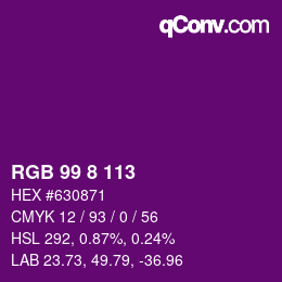 Color code: RGB 99 8 113 | qconv.com
