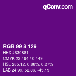 Color code: RGB 99 8 129 | qconv.com