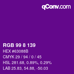 Color code: RGB 99 8 139 | qconv.com
