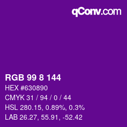 カラーコード: RGB 99 8 144 | qconv.com