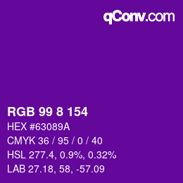 Color code: RGB 99 8 154 | qconv.com