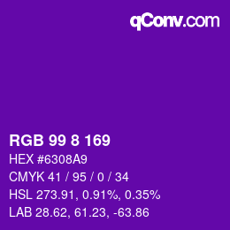 Color code: RGB 99 8 169 | qconv.com