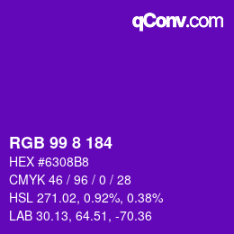 Color code: RGB 99 8 184 | qconv.com