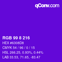 Color code: RGB 99 8 216 | qconv.com