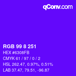 Color code: RGB 99 8 251 | qconv.com