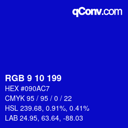 Color code: RGB 9 10 199 | qconv.com