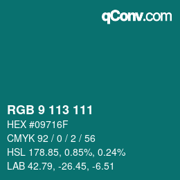 Color code: RGB 9 113 111 | qconv.com