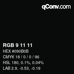 Color code: RGB 9 11 11 | qconv.com