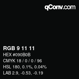 Color code: RGB 9 11 11 | qconv.com