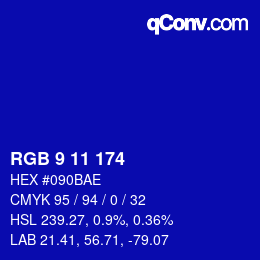 Color code: RGB 9 11 174 | qconv.com