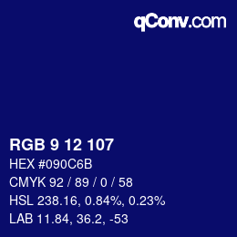 Color code: RGB 9 12 107 | qconv.com