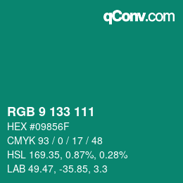 Color code: RGB 9 133 111 | qconv.com