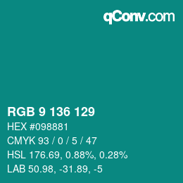 Color code: RGB 9 136 129 | qconv.com