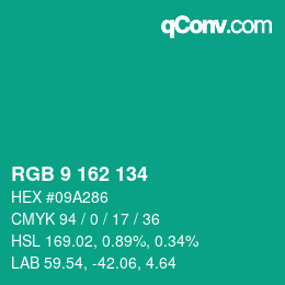 Color code: RGB 9 162 134 | qconv.com