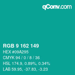 Color code: RGB 9 162 149 | qconv.com