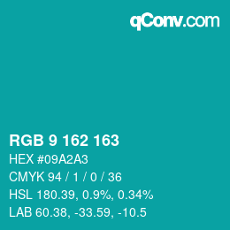 Color code: RGB 9 162 163 | qconv.com