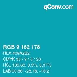 Farbcode: RGB 9 162 178 | qconv.com