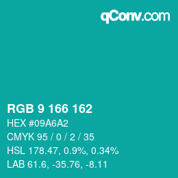 Color code: RGB 9 166 162 | qconv.com