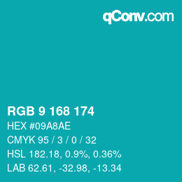 Color code: RGB 9 168 174 | qconv.com
