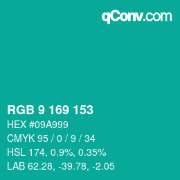 Color code: RGB 9 169 153 | qconv.com