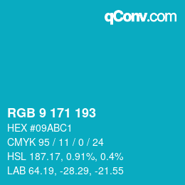 Color code: RGB 9 171 193 | qconv.com